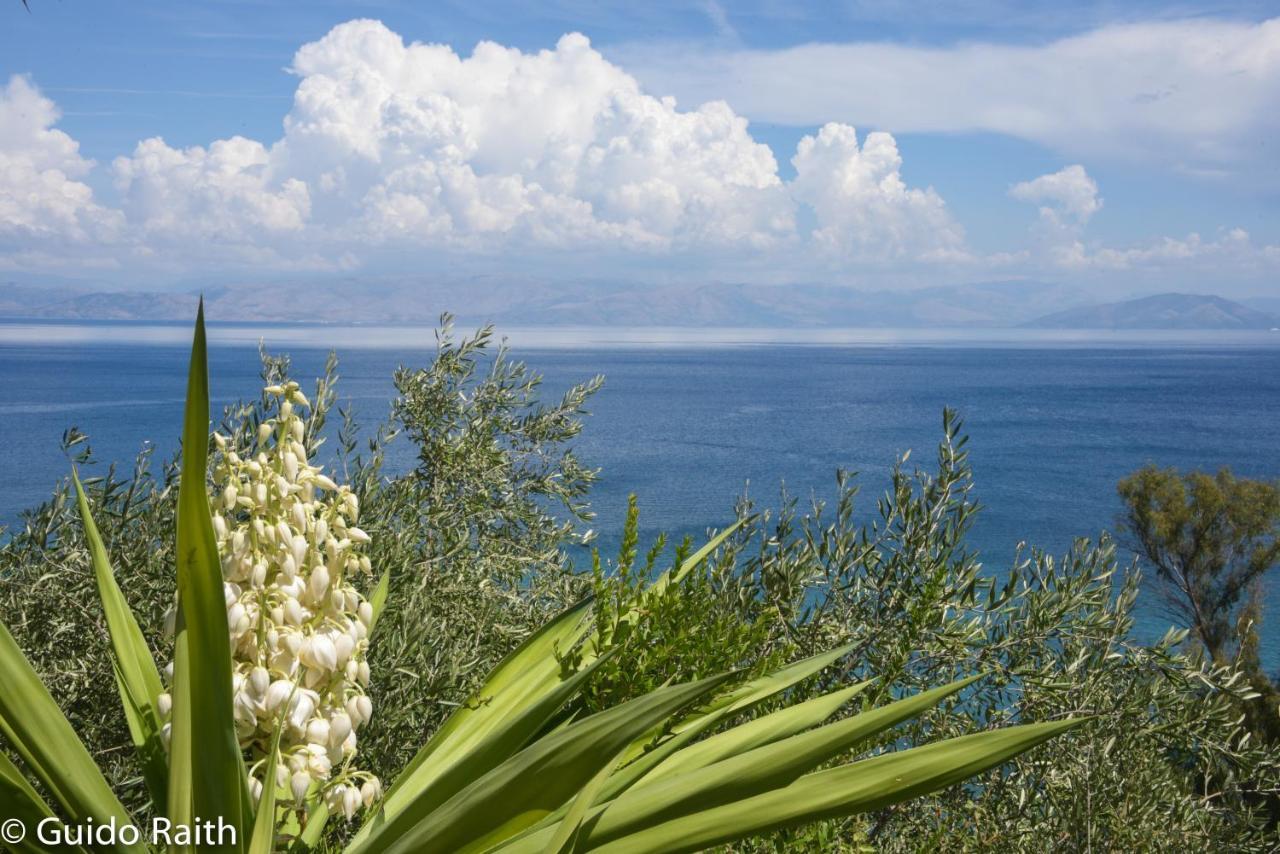 Apartment Ionian Sea View By Hotelius *