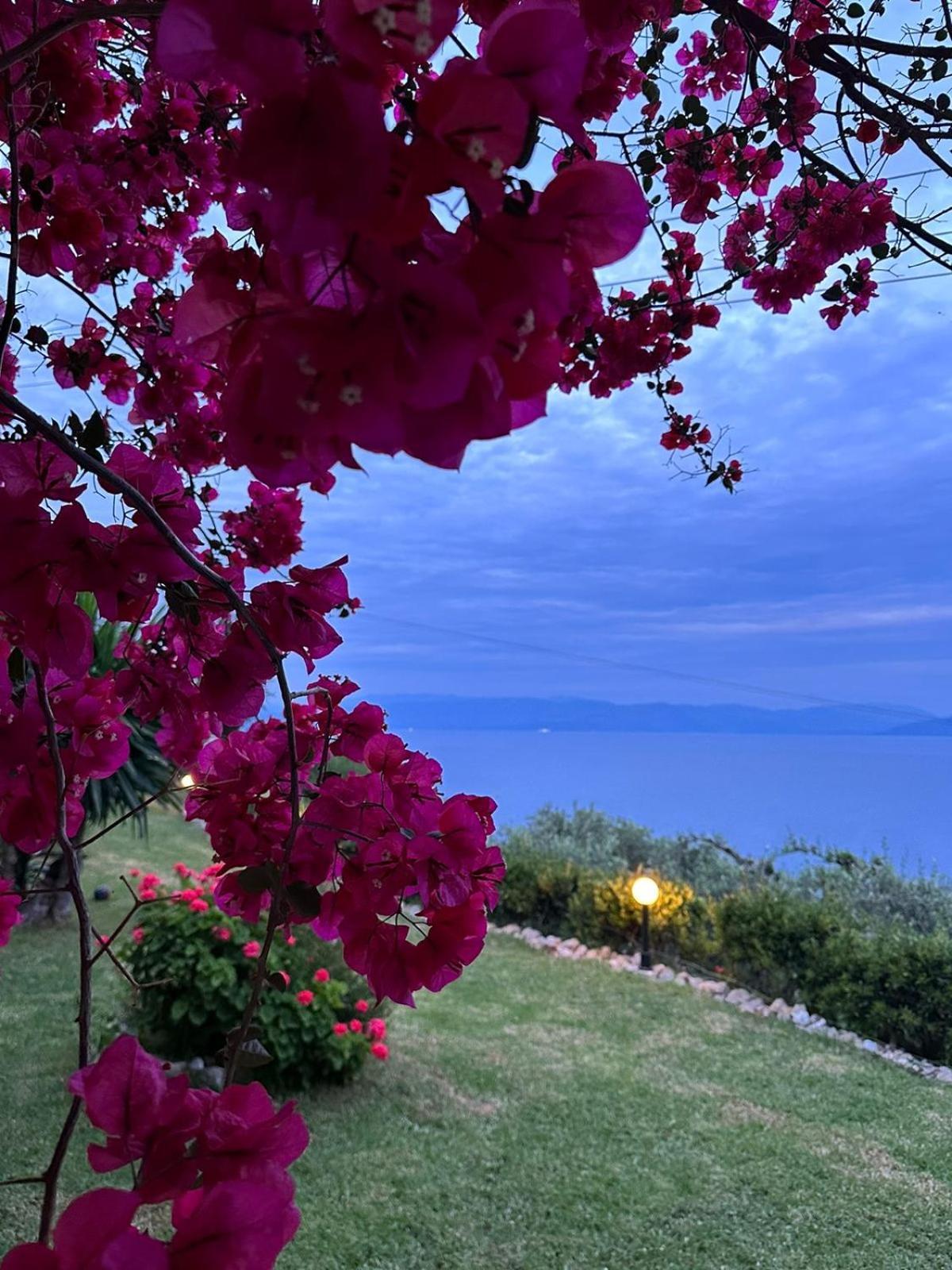 Apartment Ionian Sea View By Hotelius *