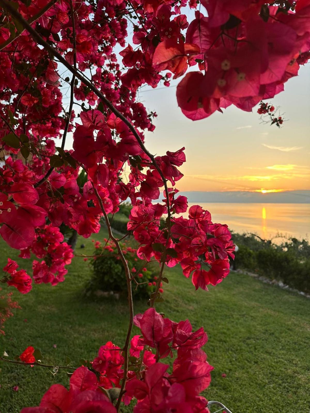 Apartment Ionian Sea View By Hotelius Episkopiana (Corfu)